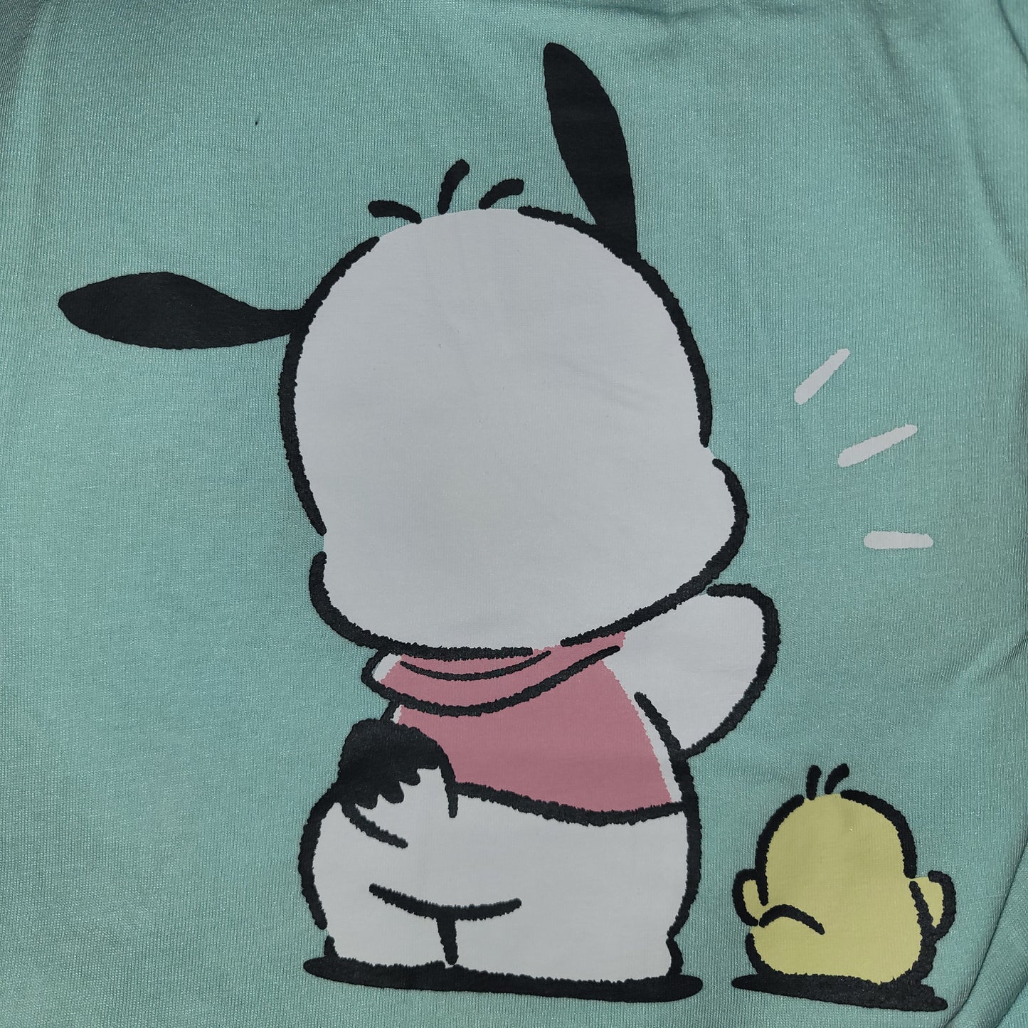 Sanrio Pochacco BIG Graphic T-Shirt, Double-Sided