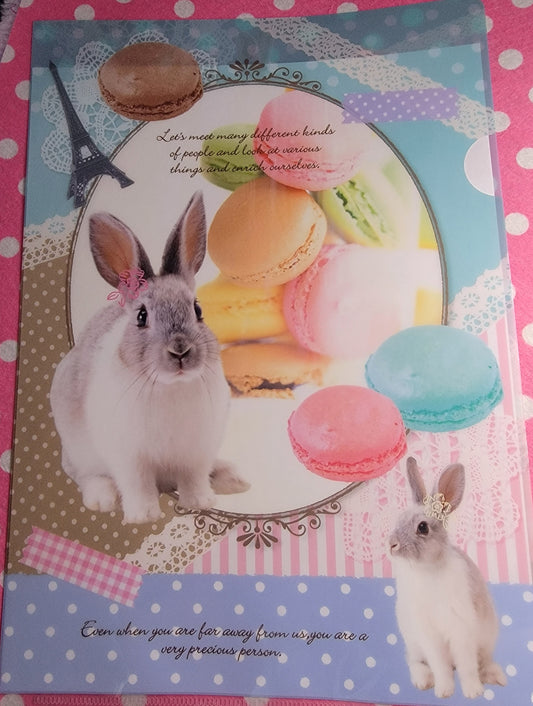 San-X Bunny Macaron A4 File Folder